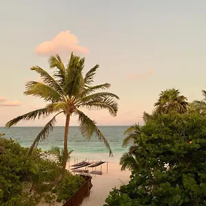 Hotel Libelula Beachfront, Tulum